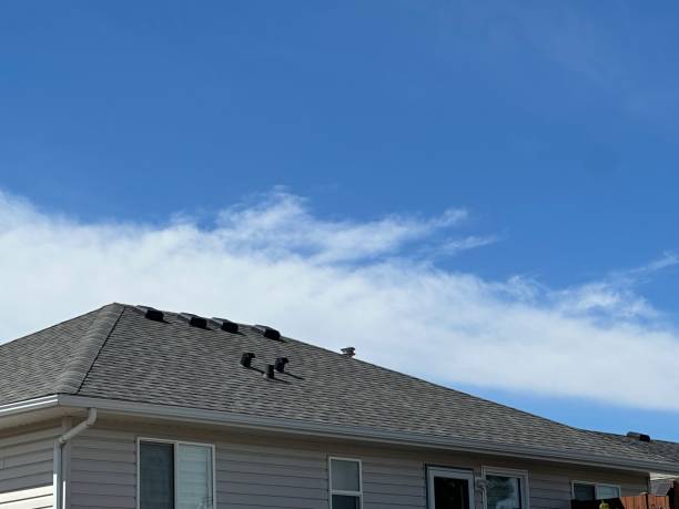 Best Storm Damage Roof Repair  in Rosenberg, TX